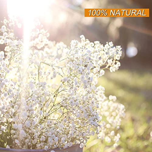 Dried Baby's Breath Flowers Bouquet - 3500+ Ivory White Dry Flowers Bulk, 17'' Real 100% Natural Gypsophila Branches for Wedding, DIY Home Party Table Vase Decor, Wreath Floral