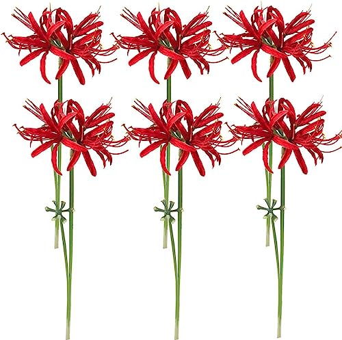 6 Stems 26.38 Inch Artificial Lycoris Radiata Spider Lily Flowers for Home Garden Decoration Red - color: Red