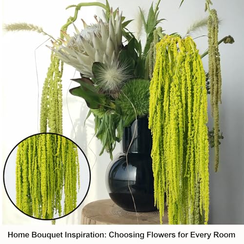 5Pcs Dried Amaranthus Hanging Flowers, 23" Neon Lime Green Preserved Wisteria for Wedding Arch, Fall Thanksgiving, Table Centerpiece, Wall Hanging Lover Tears, Floral Arrangement, Farmhouse Décor