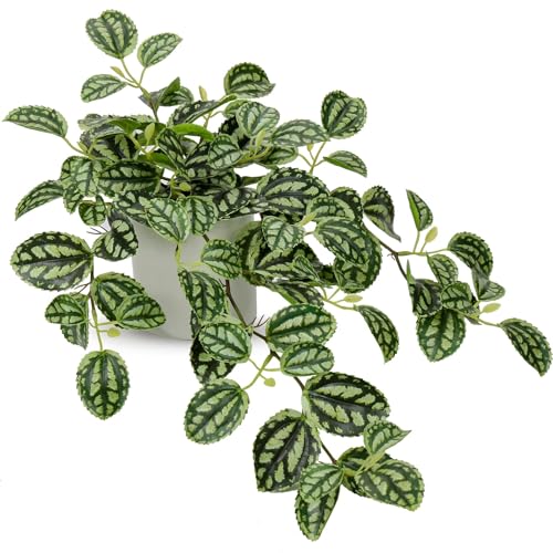 GnFlus Fake Hanging Plants, 20 Inch Artificial Ivy Plant in Ceramic Pot Faux Watermelon Peperomia Trailing Vine Plant Potted for Home Bedroom Office Table Shef Desk Indoor Outdoor Decor Green - color: Green-ceramic Pot