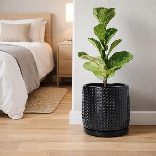 D'vine Dev 8 Inch Ceramic Beaded Stoneware Planter Pot - Flower Pot with Drainage Holes and Saucers for Indoor Succulent Plants or Flowers, Ebony Matte, 27-C-Q-6 - color: Ebony Matte, size: 8.8 Inch