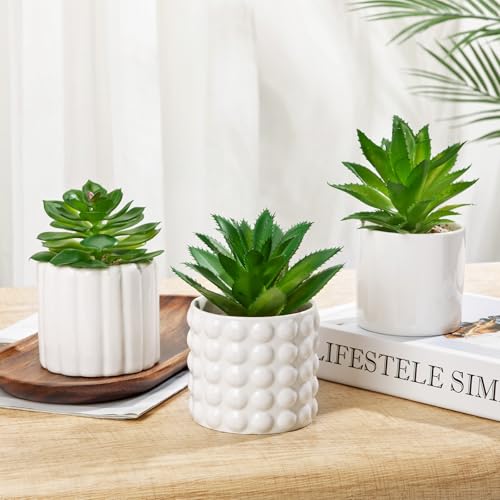 Briful Succulents Plants Artificial in White Ceramic Pots (Set of 3), Small Fake Plants for Home Office Desk Decor – Modern Mini Potted Succulents for Bathroom, Bedroom, Living Room Table, Shelf - color: White