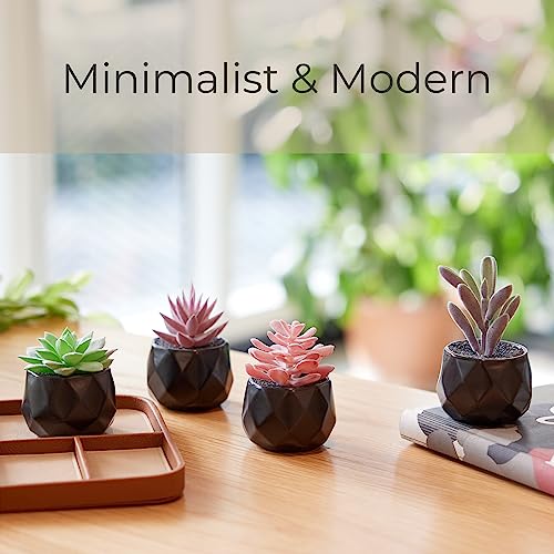 Nordik Set of 4 Desk Plants - Geometric Round Black Pots - Perfect for Bathroom, Bedroom Decor Aesthetic - Ceramic Fake Plant for Office or Living Room Decor - Ideal for Women - color: Matte Black