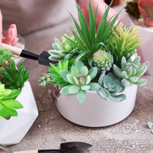 Tigeen 80 Pcs Artificial Plastic Succulents Realistic Textured Assorted Decorative Faux Succulent Fake Faux Succulents Unpotted for Lotus Landscape Garden Arrangement (Classic Style) - style: Classic Style