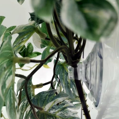Reptile Plants for Terrarium, Amphibian Habitat Decor Artificial Hanging Plants with Suction Cup, Artificial Plants for Gecko Chameleon Snake Tortoise Tank Accessories. 2-Pack (Monstera) - color: Monstera