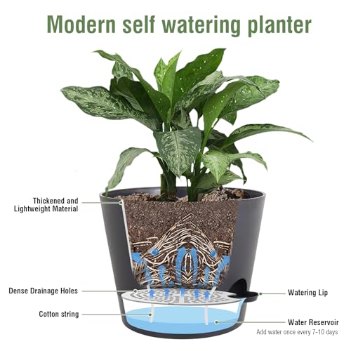 Meowell 12 inch Large Self Watering Pots for Indoor Outdoor Plants, Flower Plant Pots with Mesh Drainage Holes for Garden House Plants, Plastic Planters with Reservoir for Home Decor, Black - color: Black, size: 12inch A