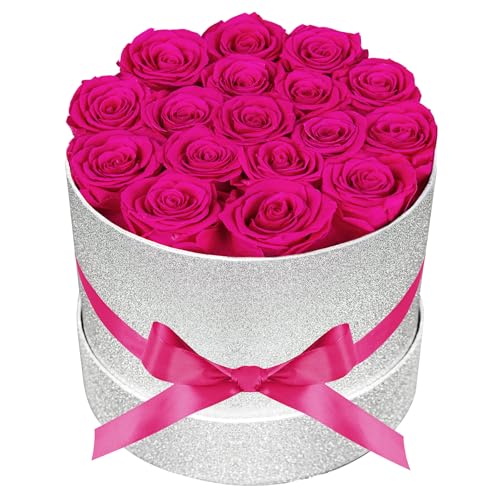Prifroti 17 Hot Pink Flowers in Glitter Box, Birthday Gifts for Women, Preserved Flowers, Mothers Day Roses Gift for Mom - color: Hot Pink | Glitter Box, size: 17 Roses