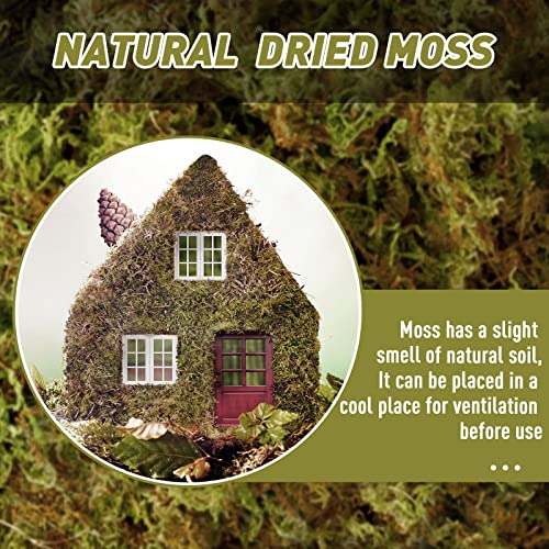 EBOOT 42.33 oz Faux Moss Fake Moss for Potted Plants Large Capacity Faux Dried Moss for Terrarium Decorative Artificial Natural Moss for Fake Plants Forest Moss for DIY Crafts Office Decor(2.65 lb)