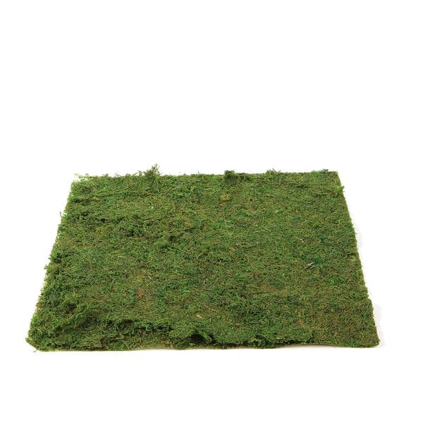 Tableclothsfactory 18" x 16" Preserved Natural Moss Roll Faux Green Living Wall Foliage Green Garden Wall Mat - color: Moss