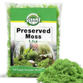 Halatool Preserved Moss for Crafts, Green Reindeer Moss for DIY Decorating Art Potted Fairy Garden Accessories Table Centerpieces Wedding Christmas Fairy Party Decor(1.1 LB)