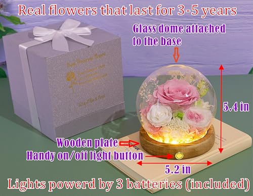 Valley of Rain & Forest Long-Lasting Real Flowers, Unique Floral Gift For you to send Love for All Occasions, for Indoor Decoration (Pink Rose & White Roses Arrangement) - color: Pink Rose, White Rose