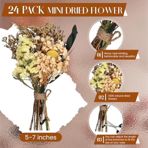 Layhit 24 Pcs Boho Dried Flower Bouquet Mini Wedding Handmade Dry Flowers Decor for Vase Crafts DIY Photo Boutonniere for Men Floral Plant for Bridesmaid Gift Birthday Decor(Colorful) - style: Colorful