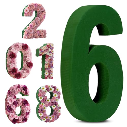 Leinuosen 12inch Dry and Wet Floral Foam Numbers Blocks Green Foam Blocks for Fresh and Artificial Flowers for Weddings Birthday Flower Arrangement Craft Project Garden Decoration(Number 6) - style: Number 6