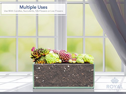 Royal Imports Flower Glass Vase Decorative Centerpiece for Home or Wedding Oblong Rectangle Shape, 10" Long, 4" Hx4 W Opening, Clear - color: Clear, size: 10" (4x4)