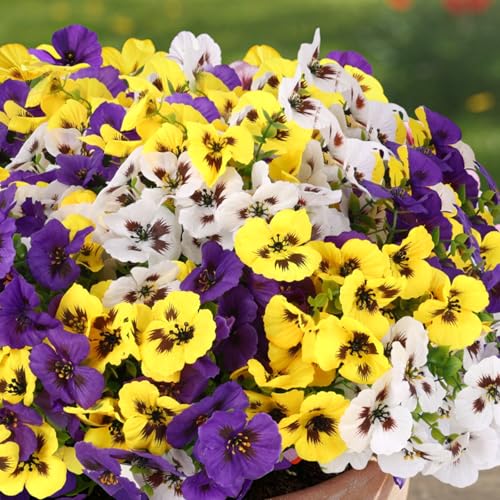 CEWOR Artificial Flowers for Outdoor Indoor, Fake Silk Pansy with Eucalyptus Leaves, Faux Flower for Garden Front Door Porch Planter Patio Home Decor (12 Bundles, Yellow White Purple) - color: 3 Color Pansy