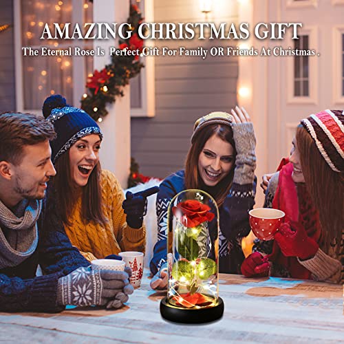 Beauty and The Beast Rose Set-The Best Holiday Surprise Gift for Mothers, Beautifully Decorated With Red Silk Roses, LED Lights, Dome Glass and Wooden Base - color: Black Base