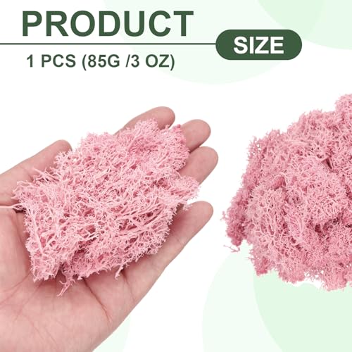 MECCANIXITY 3oz Preserved Reindeer Moss, Pink Decorative Artificial Fake Moss for Potted Plants Indoor Crafts Lichen Centerpieces Decor - color: Pink, size: 3oz