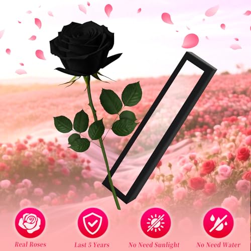 Black Single Forever Roses in a Box,Preserved Flowers for Delivery,Preserved Rose Gifts for Women, Real Roses Gift for Her, Mom Birthday Gifts, Mothers Day Flowers,Valentines Flowers,Presents for Her - color: Black-window