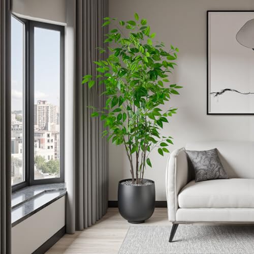 5ft Artificial Ficus Tree with White Plastic Planter | Collapsible trunk structure enables quick assembly and compact space-saving storage - color: Green, size: 5ft