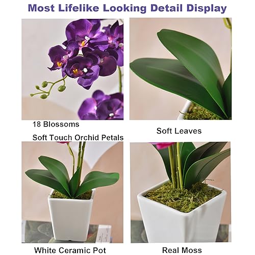 Faux Orchid in Vase Artificial Orchid in Ceramic Vase Tall Silk Orchids with Stems Real Look Phalaenopsis Flowers Arrangement Centerpiece Table Decorations for Home Decor Indoor, Dark Purple - color: Y-dark Purple