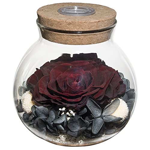Preserved Real Roses with Colorful Mood Light Wishing Bottle,Eternal Rose，Never Withered Flowers,for Bedroom Party Table Decor, Anniversary,Valentine's,Mother's Day,a Gifts for Women (Burgundy) - color: Burgundy