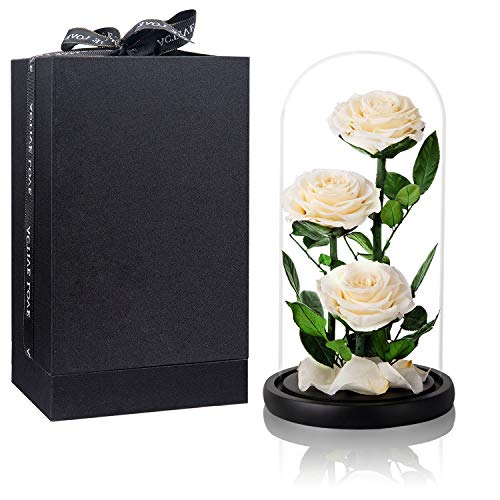 White Roses Handmade Preserved Rose in Glass Dome, Preserved Flowers Never Withered, Birthday Gifts for Women (13 inch) - color: White, size: X-Large