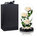 White Roses Handmade Preserved Rose in Glass Dome, Preserved Flowers Never Withered, Birthday Gifts for Women (13 inch) - color: White, size: X-Large