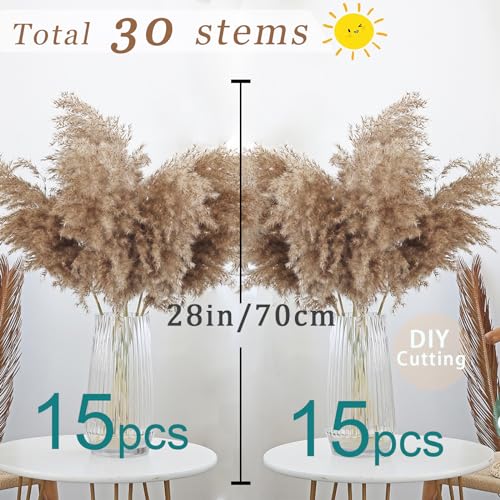 30 Stems 28” inch Fluffy Brown Pampas Grass Decor Tall - Natural Dried Pampas Grass, Large Pompas Grass, Dry Pampas Bulk for Living Room Decor, Boho Home Decor , Wedding Decor , Gift( 30 Brown ) - size: 30pcs brown