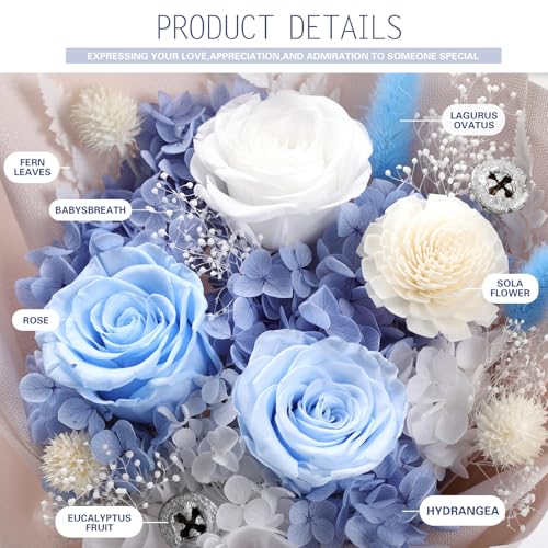 Casaido Preserved Flowers for Delivery, Mothers Day Blue Flower Bouquets with Necklace, Forever Real Roses Anniversary Birthday Valentines Day Christmas Rose Gifts for Women Mom Wife Girlfriend - color: Blue