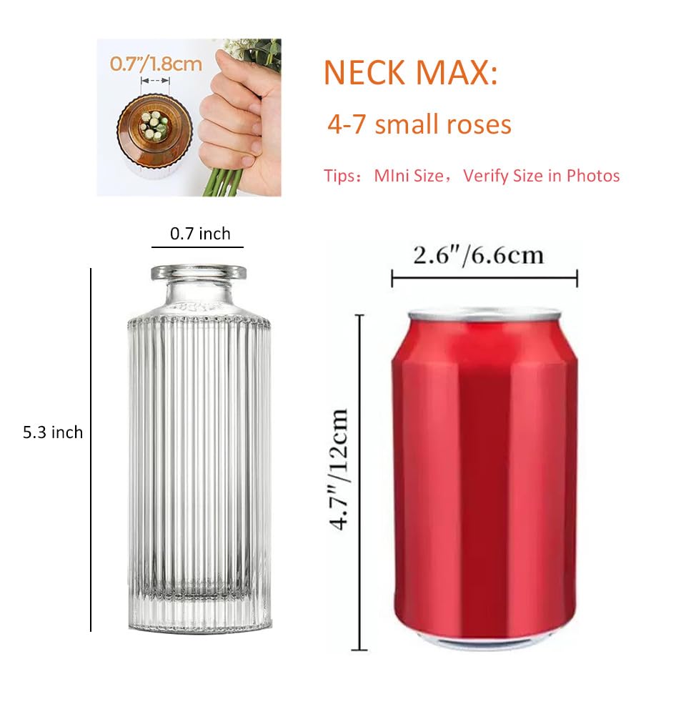 6 Pack Glass Bud Vase Set, Small Flower Vase Set Bud Vases for Wedding Centerpiece Table Decor, Vintage Small Vases for Room Home Dining Party Table Center Decor (Clear Set, 6 Pack) - color: Clear Set, size: 6 Pack