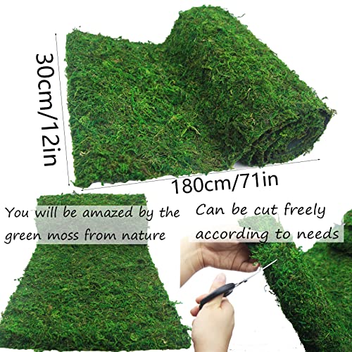 FAICOIA Floral Moss Rug Roll Dried Moss Sheets for Crafts Table Runner Fairy Gardens Wedding Woodland Decor 12" x 71" Preserved Green Moss Mat for Table Forest Decor Carpet Grass Wall 30x180cm - color: Natural Moss Green