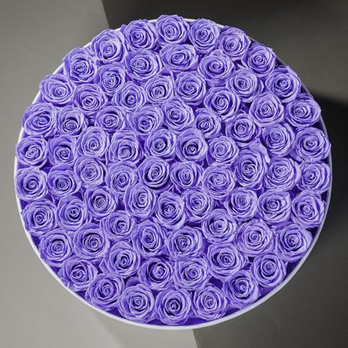 Prifroti 75 Preserved Roses in Suede Box – Luxury Rose Flower Arrangement, Preserved Flowers Gifts for Women, Wife or Mom – Birthday, Anniversary, Valentine’s Day, Mother's Day (Lavender) - color: Lavender, size: 75 Roses