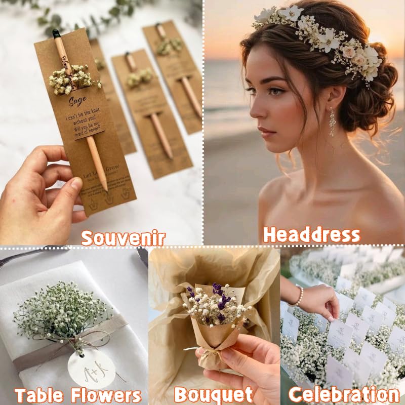 6200+ Ivory White Dried Baby's Breath Flowers - 100% Real Natural Gypsophila Mini Bouquet Bulk for Wedding Floral Arrangement Boho Home Decor, DIY Crafts,Candle Making, Birthday Party Decorations