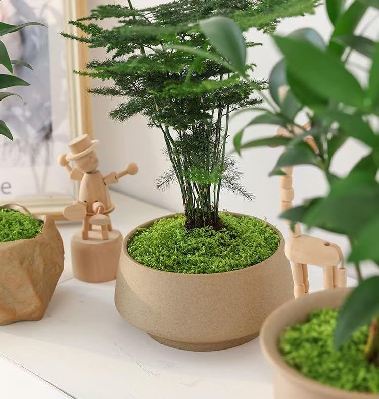 16OZ Artificial Moss for Crafts Decorative Artificial Faux Moss for Plant Craft Flower Garden Wedding Christmas Table Centerpieces Decor(Fresh Green)