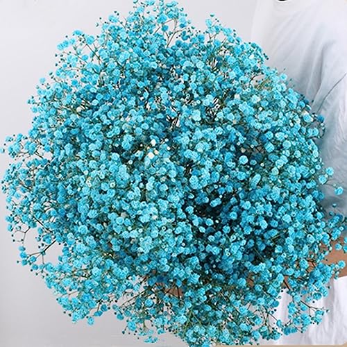 17.2 Inch Dried Flowers Baby's Breath Bouquet - 2500+ Dry Flowers,Natural Gypsophila Branches for Home Decor, Wedding, Table Decor, DIY Wreath Floral, Dry Flowers Bulk for Vase (Blue) - color: Blue