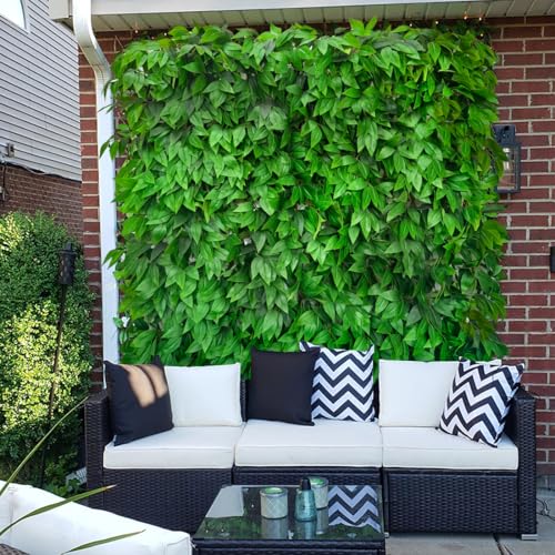 Expandable Fence Privacy Screen for Balcony Patio Outdoor,Decorative Faux Ivy Fencing Panel,Artificial Hedges (Single Sided Leaves) - color: Willow Leaf