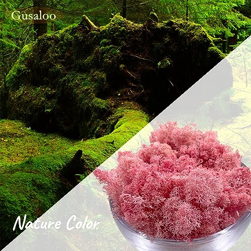 Moss Preserved Moss for Potted Plants Natural Fresh Green Reindeer Moss for Craft Arts Floral Wall Decor Decor Wedding Centerpieces Garden Artificial Terrariums Decoration for Christmas-Light Pink - color: Lightpink, size: 3.5oz