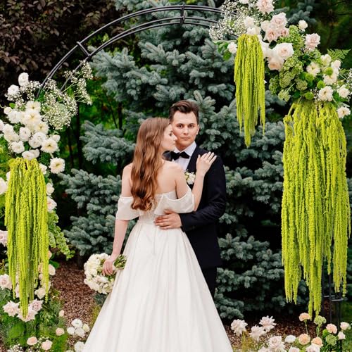 5Pcs Dried Amaranthus Hanging Flowers, 23" Neon Lime Green Preserved Wisteria for Wedding Arch, Fall Thanksgiving, Table Centerpiece, Wall Hanging Lover Tears, Floral Arrangement, Farmhouse Décor