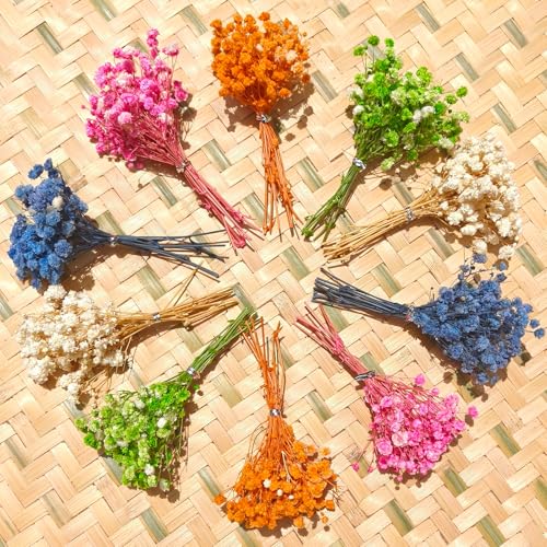 120 Pcs Mini Dried Baby Breath Flowers Gypsophila Ivory Mixed Color Flowers Dried Flowers for Vase Wedding Home Office Party Garden Card Making Decor Wreath Floral Craft DIY Art (Mixed Color Varient) - color: Mixed Color Varient