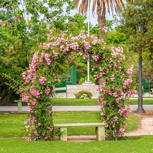 Metal Arbor Frame Stand, Garden Arch Trellis for Plants, Wedding Decor Backdrop Flower Stand, 7.9 * 4.6 FT - color: Black
