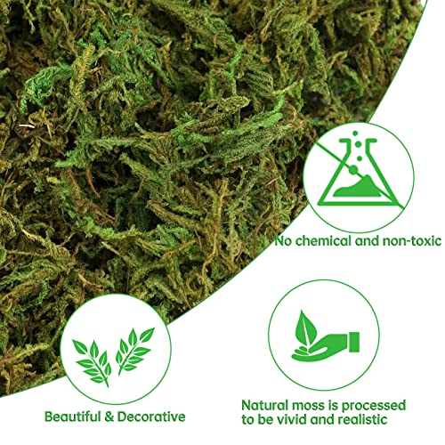 35 OZ Large Capacity Artificial Moss for Potted Plants,Natural Fake Moss Grass for Plants Indoor,Craft and Greenery Bulk for Hamsters(Fresh Green)