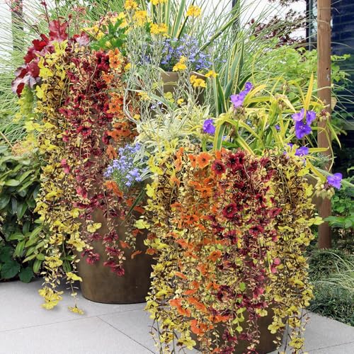 6 Pcs Fall Artificial Hanging Flowers Outdoor Faux Silk Mum Plant Decor Violet with Eucalyptus Realistic UV Resistant Trailing Vine Autumn Thanksgiving Porch Yard(Retro Color,Violet) - color: Retro Color,, style: Violet