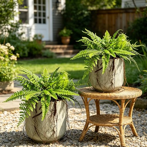 Hrobek 2 Pack Ferns Artificial Hanging Plants for Outdoor Fake Faux Fern Plants with Roots, UV Resistant Greenery Plants for Indoor Home Patio Porch Decor - color: Fern