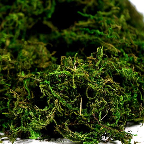 Artificial Moss Fake Green Grass for Centerpieces Home Kitchen Garden Decor (8OZ, Fresh) - color: 8oz, Fresh