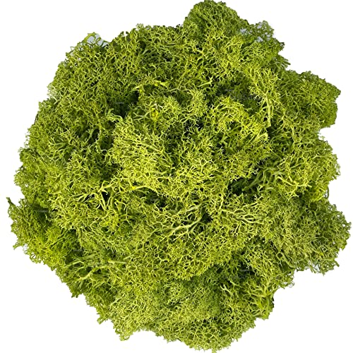 Moss Preserved Artificial Moss for Potted Plants Natural Fresh Green Moss for Craft Arts Floral Wall Decor Wedding Centerpieces Garden Terrariums Decoration - Lemon Yellow 3.5OZ - color: Lemon Yellow, size: 3.5oz