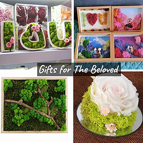 Moss Preserved Moss for Potted Plants Natural Fresh Green Reindeer Moss for Craft Arts Floral Wall Decor Decor Wedding Centerpieces Garden Artificial Terrariums Decoration for Christmas-Light Pink - color: Lightpink, size: 3.5oz