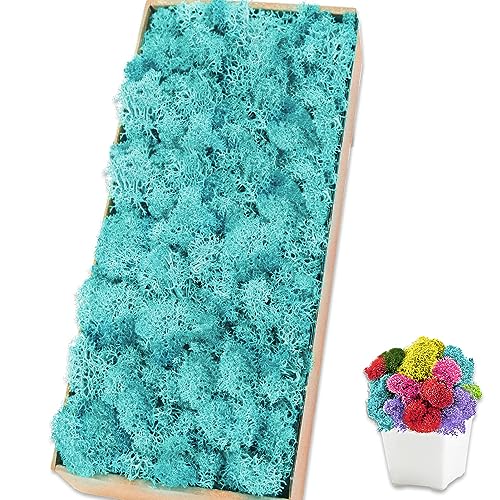 Preserved Reindeer Moss 17.6 OZ Blue Natural for Crafts, DIY Gift Christmas Decor, Wall Art, Potted Plants, Floral Fake Moss for Easter Table Decor Wedding Decorative(17.6 OZ, Blue) - color: Blue, size: 17.6 OZ