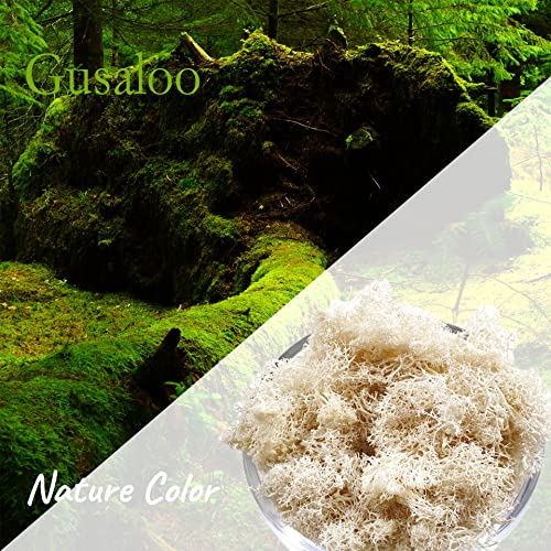 Moss Preserved Natural Fresh Green Moss for Craft Arts Floral Projects, Wall Decor, Table Decor, Wedding Centerpieces, Garden, Terrariums - White, 3.5OZ - color: White01, size: 3.5oz