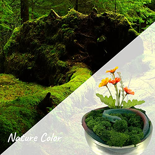 Moss Preserved Artificial Moss 8.8 oz Natural Fresh Green Moss for Craft Arts Floral Project Wall Decor Table Decor Wedding Centerpieces Garden Terrariums Decoration - color: Green, size: 8.81oz