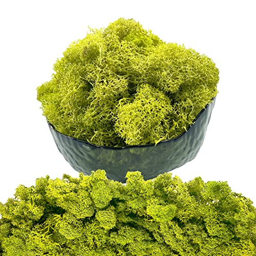 Moss Preserved Artificial Moss - 8.8 oz Natural Fresh Green for Craft, Arts, Floral Projects, Wall & Table Decor, Wedding Centerpieces, Garden Terrariums - Lemon Yellow - color: Lemon Yellow, size: 8.81oz